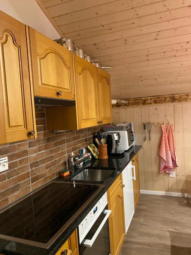 Chalet Baergstaeger ラウターブルンネン エクステリア 写真
