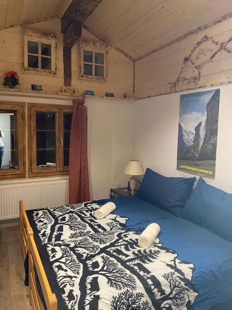 Chalet Baergstaeger ラウターブルンネン エクステリア 写真